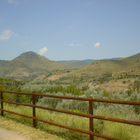 mirador